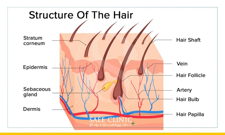 گرافت مو چیست ؟